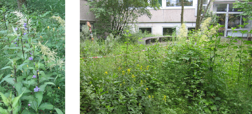 Schulzentrum